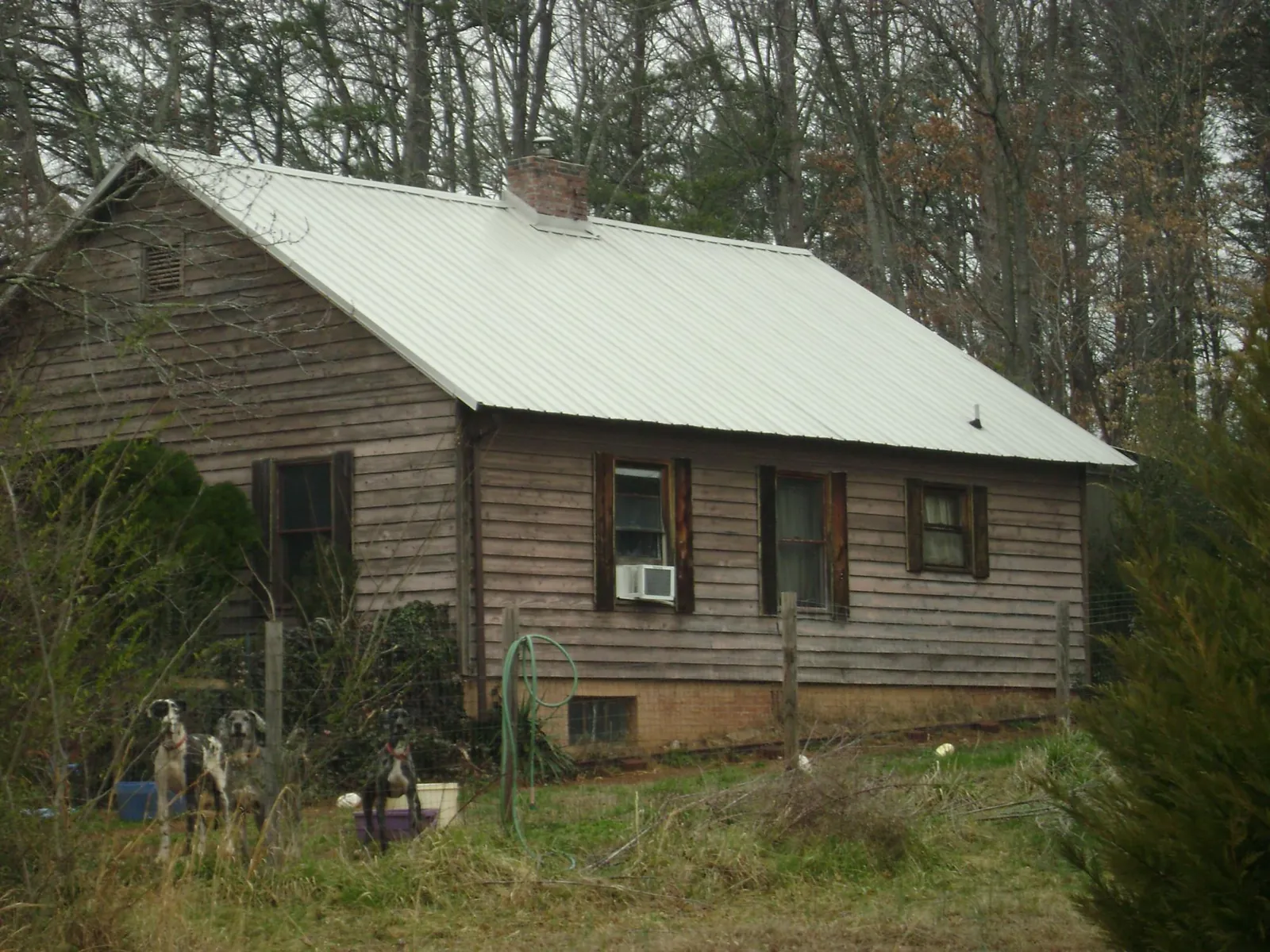 White metal roof on an old wood sided farmhouse, from a Asphalt Shingle Roof Repair job in Gallatin Gateway